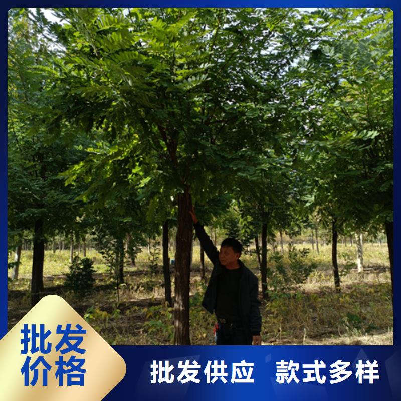 法桐国槐快捷的物流配送