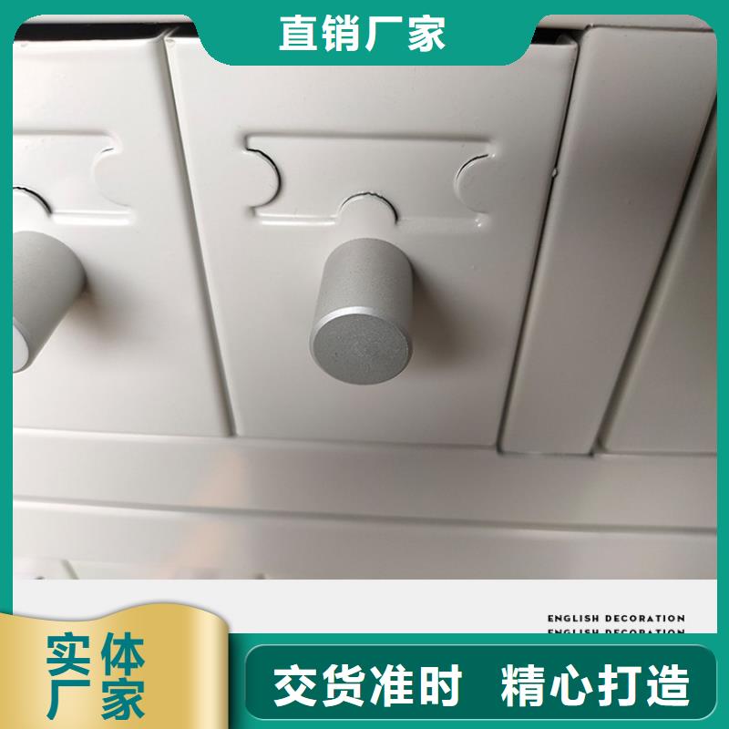 切片柜 档案柜厂家随心所欲定制