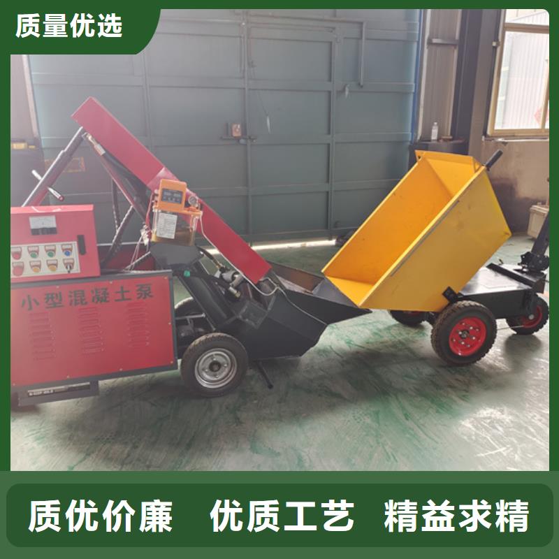 二次构造柱泵小型二次构造柱泵有口皆碑