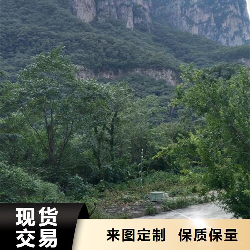 小型混凝土泵基桩混凝土输送泵价格公道合理