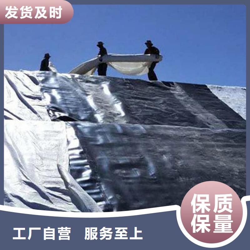 购买(鼎诺)HDPE防渗膜
