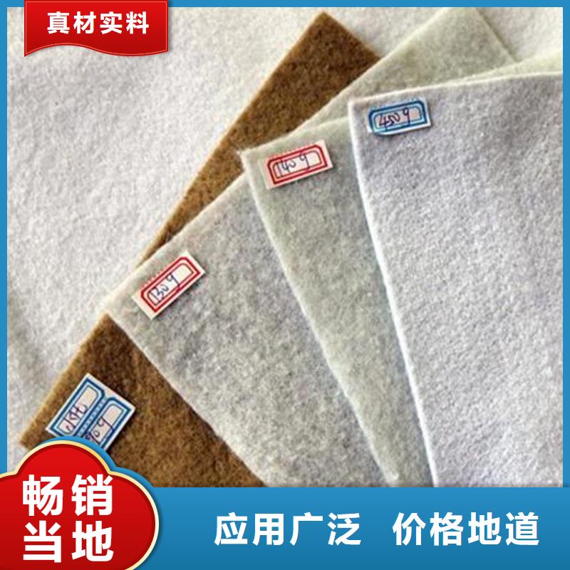 生产型[鼎诺]反渗透土工布-有纺土工布