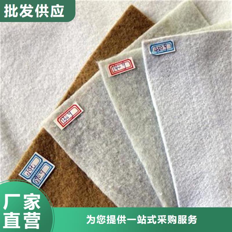 咨询【鼎诺】复合土工布-短纤针刺土工布