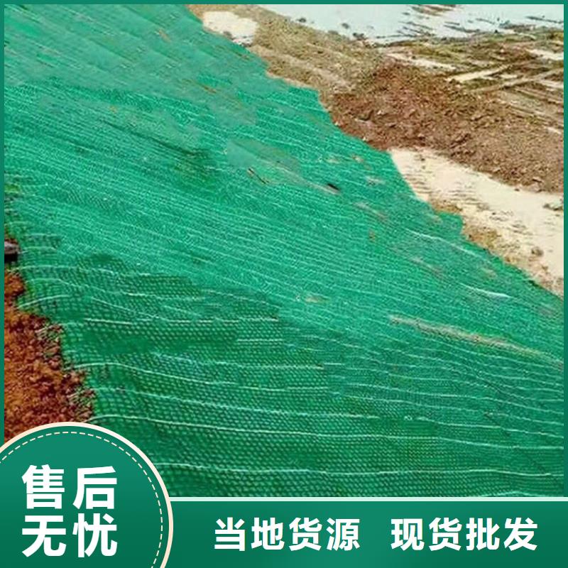 植物生态防护毯-加筋抗冲生态毯厂家-地址