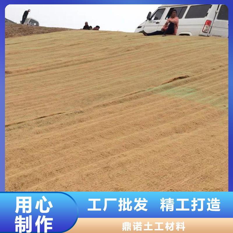 护坡植被植草毯公司批发