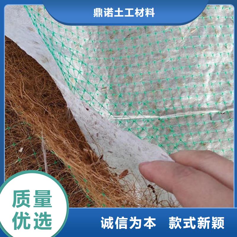 椰纤植生毯加筋抗冲生态毯厂家直供