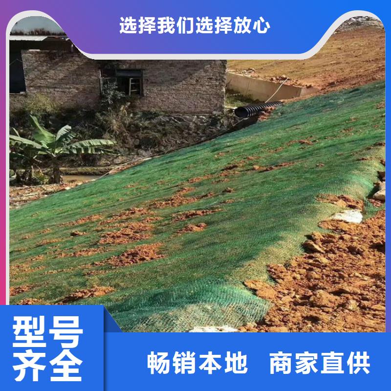 护坡植被植草毯-加筋抗冲生态毯公司/多少钱一平