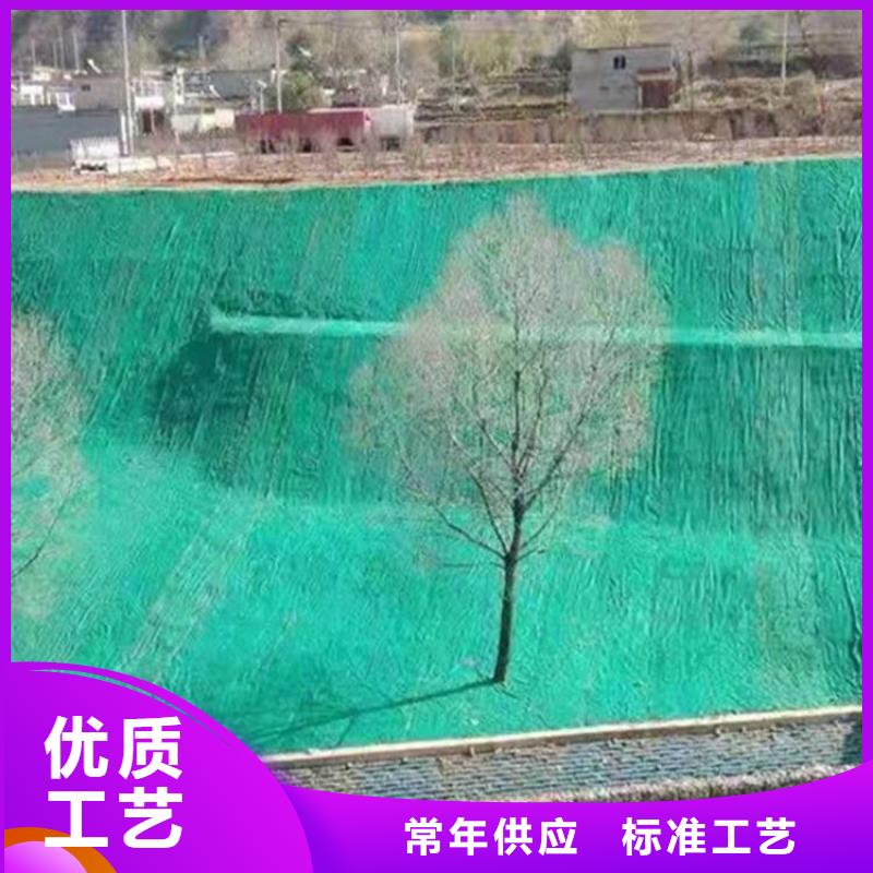 椰丝植生毯-河道环保草毯-河道护坡椰丝毯