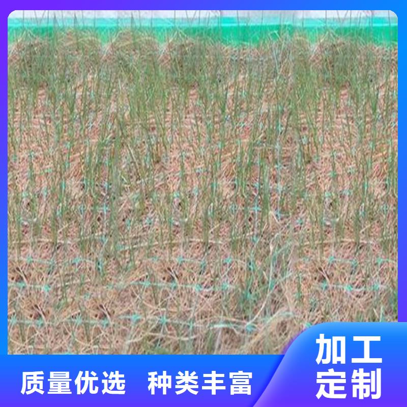 陵水县植物生态防护毯-加筋抗冲生态毯产品新闻已更新