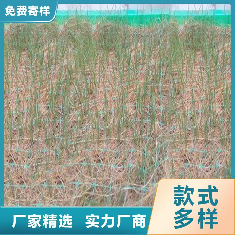 加筋抗冲生物毯-抗冲植生毯