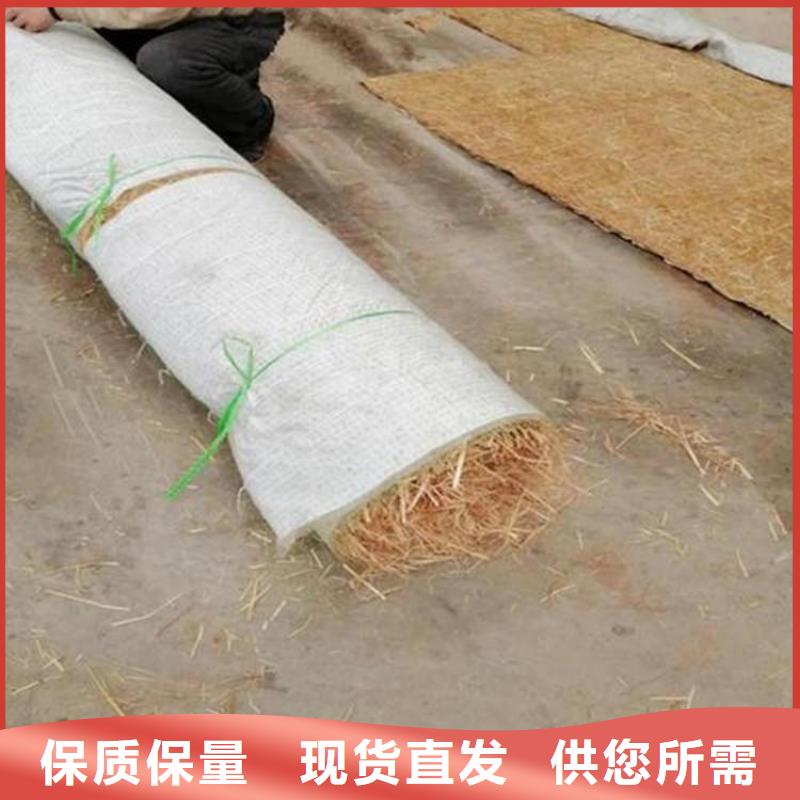 植物纤维毯-绿化植生毯-椰丝生态毯