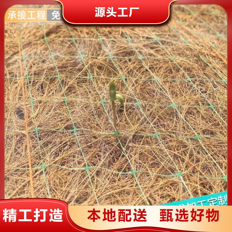 生态环保草毯护坡植被植草毯在线报价