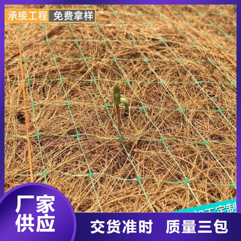 植生椰丝毯加筋抗冲生态毯生产