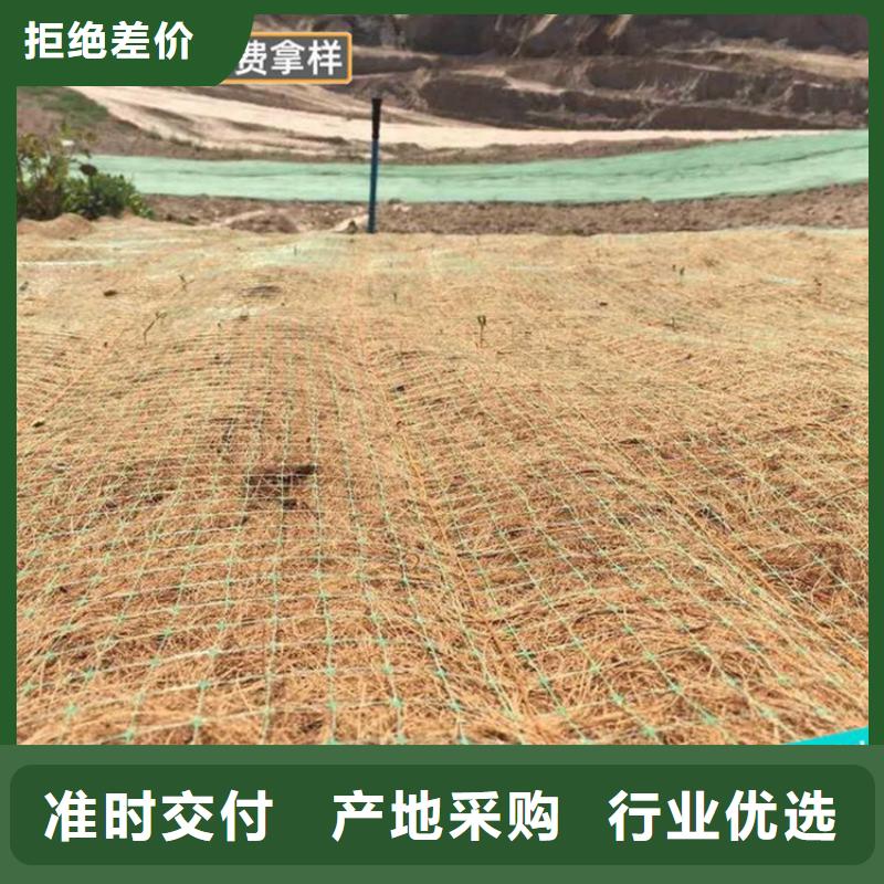 椰纤植生毯加筋抗冲生态毯价格新闻-已更新