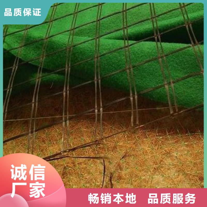 椰丝植物纤维毯-生物草毯生态垫-椰丝护坡毯