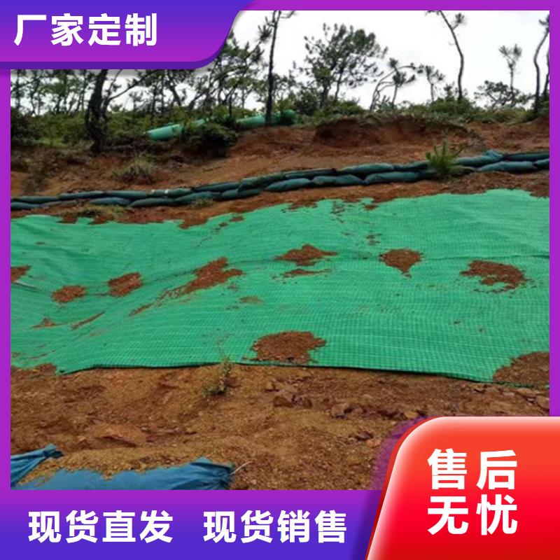 护坡植被植草毯-公路植生毯