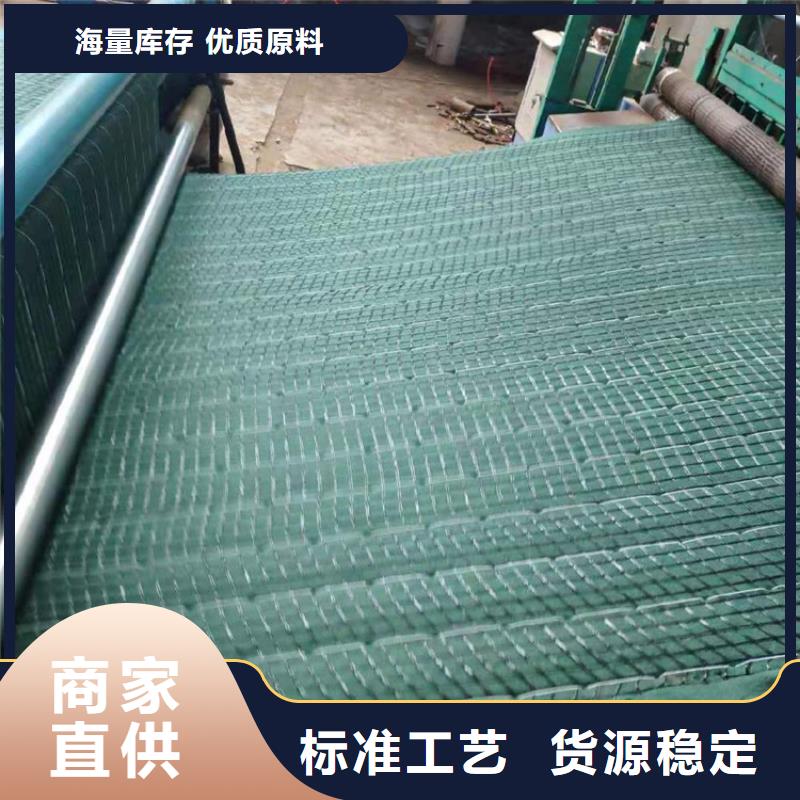 一站式供应厂家【鼎诺】椰纤植生毯 -抗冲刷生物毯
