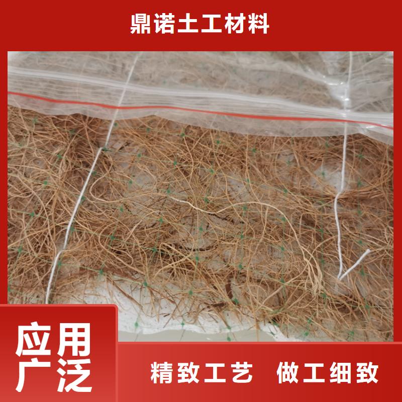买(鼎诺)椰丝植生毯-生态护坡毯-水保加筋植生毯
