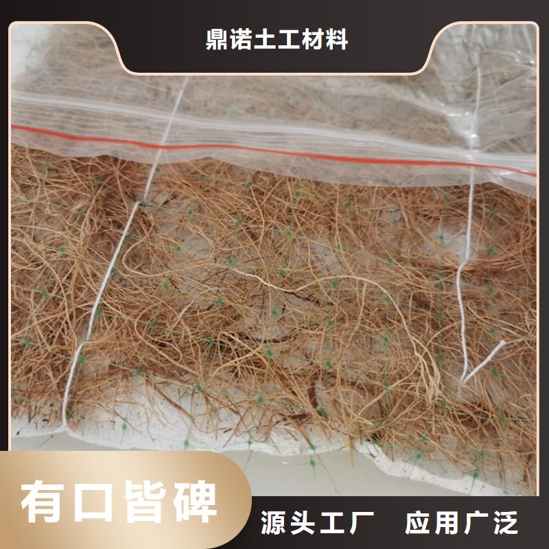产地货源(鼎诺)椰丝植物纤维毯-绿化毯-纤维草毯