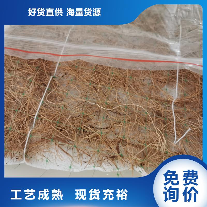 直销【鼎诺】护坡植被植草毯-加筋抗冲生态毯15年经验