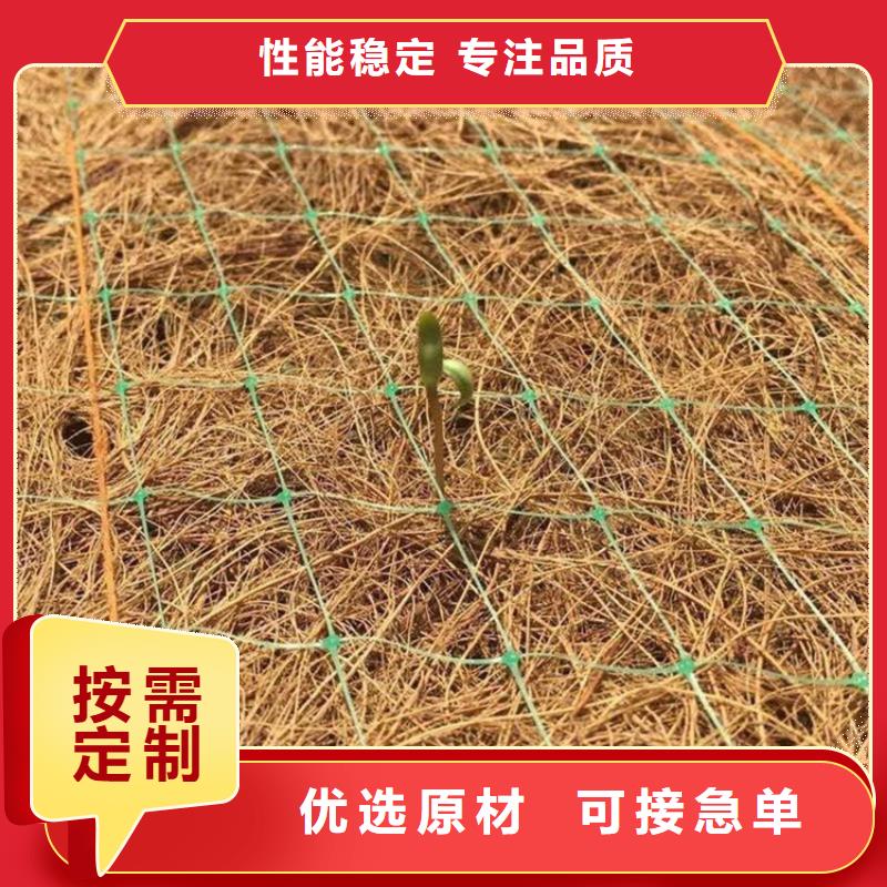 直销【鼎诺】护坡植被植草毯-加筋抗冲生态毯15年经验