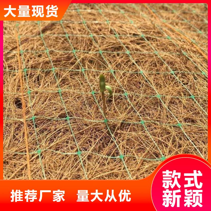 产地货源(鼎诺)椰丝植物纤维毯-绿化毯-纤维草毯