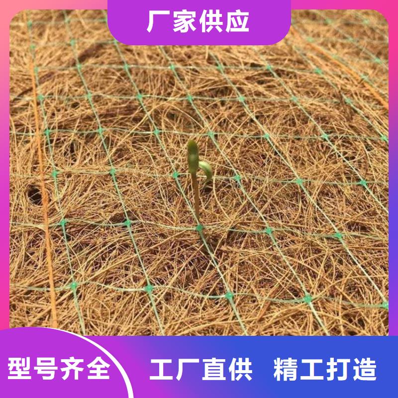 采购(鼎诺)植生椰丝毯护坡植被植草毯型号厚度