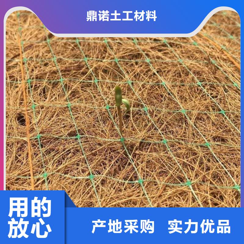 一站式供应厂家【鼎诺】椰纤植生毯 -抗冲刷生物毯