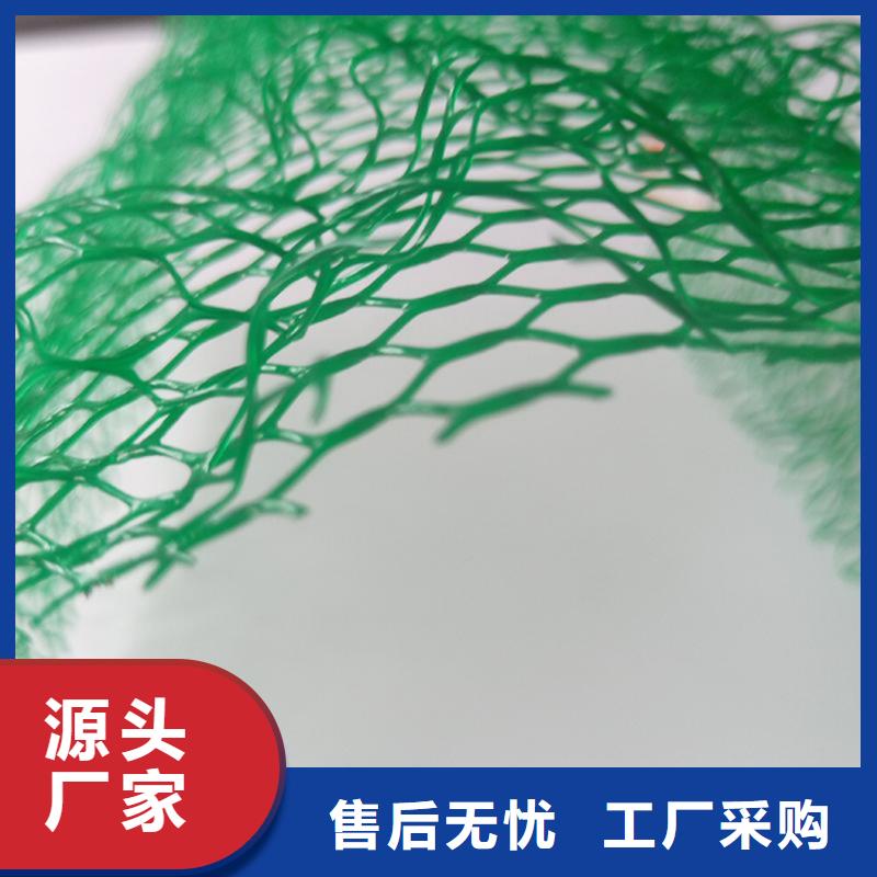 三维植被网-玻纤格栅专业品质