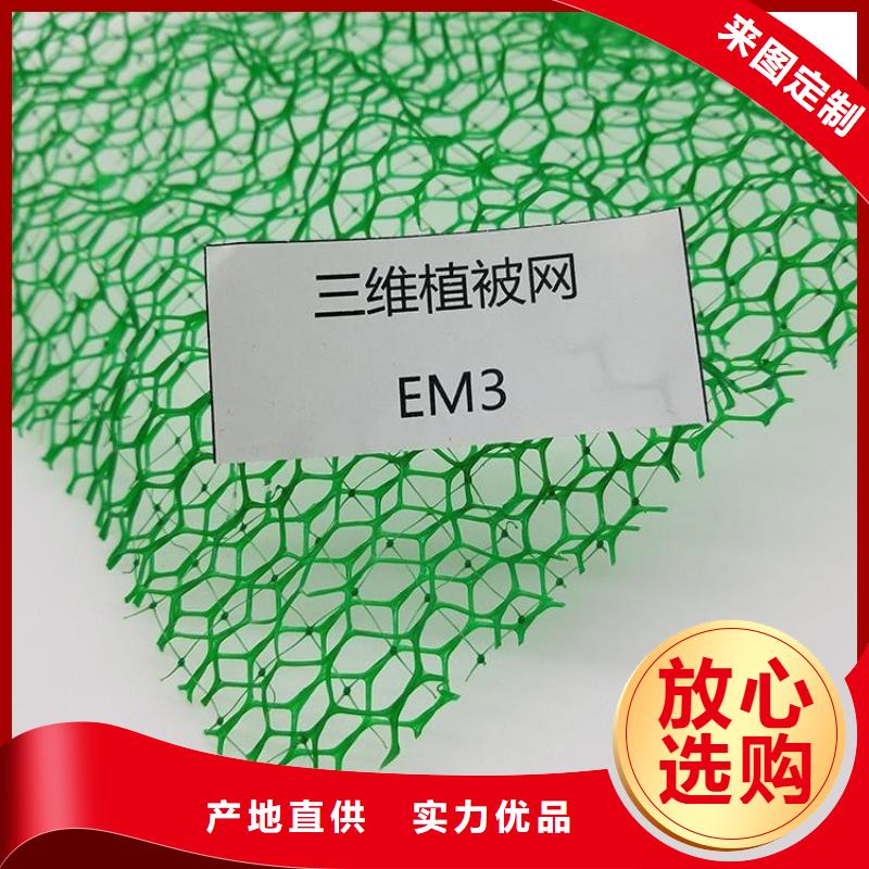 三维土工网垫EM5EM2