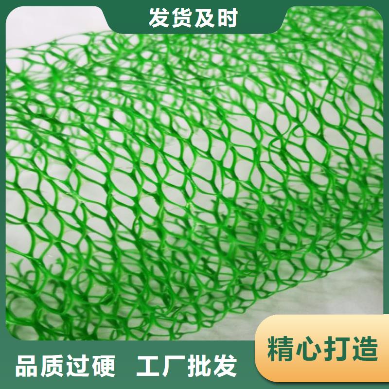 三维植草网垫塑料EM5