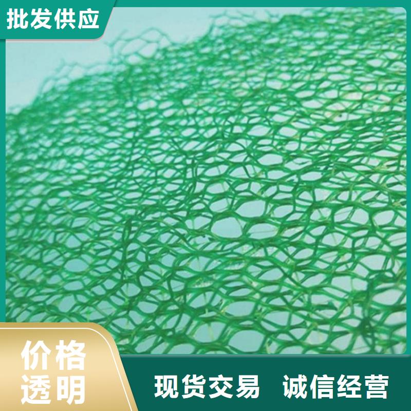 三维植被网塑料土工格栅厂家直营