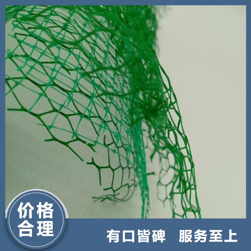 三维加筋网垫-2层3层三维植被网