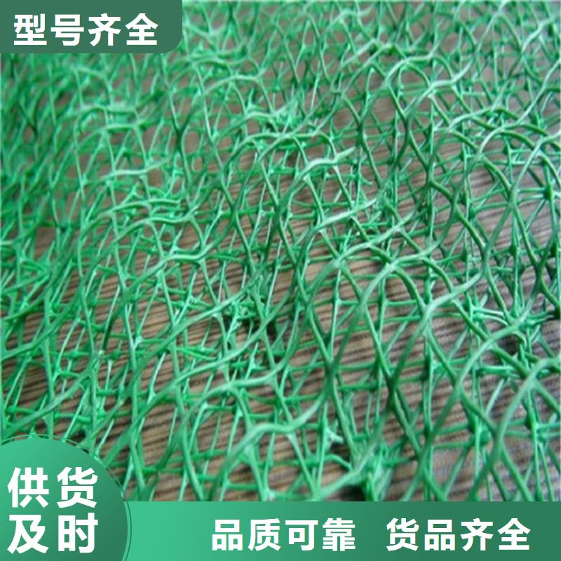 三维植被网塑料土工格栅厂家直营
