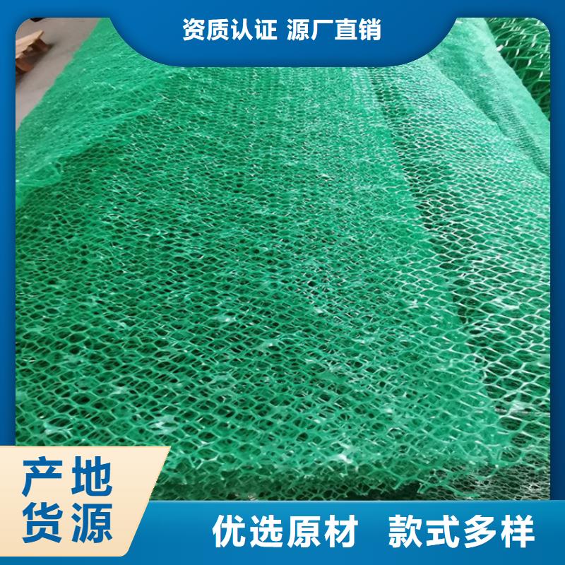 三维植被网-玻纤格栅专业品质