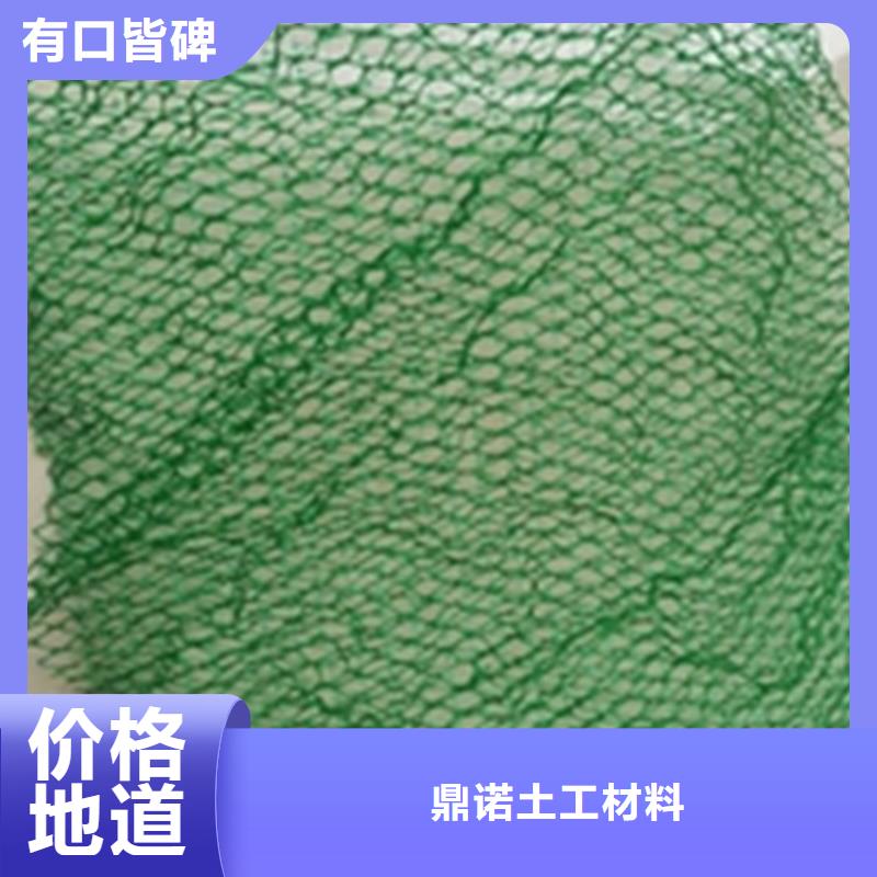 三维植被网-玻纤格栅专业品质