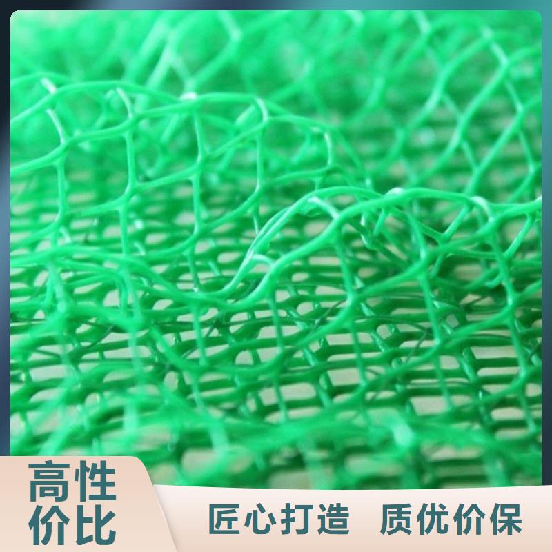 三维植被网塑料土工格栅厂家直营