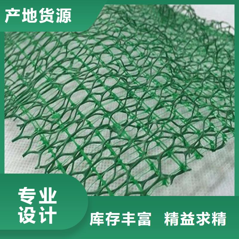 厂家新品(鼎诺)三维固土网垫-三维网植草护坡