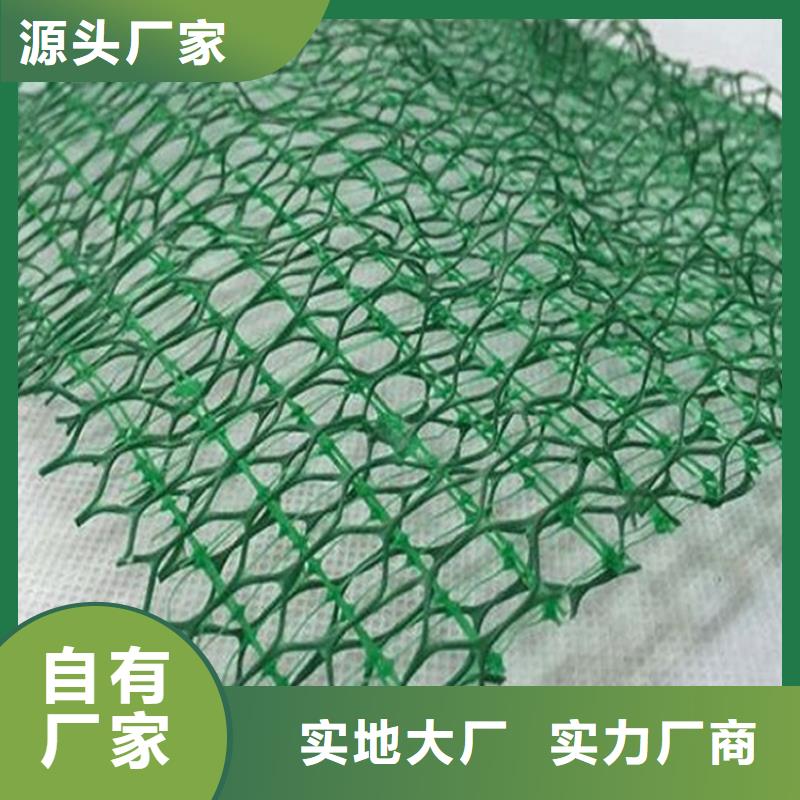 自主研发<鼎诺>三维植被网-EM4三维护坡植草网垫