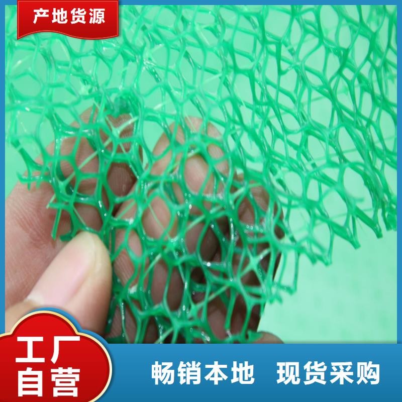 采购[鼎诺]三维固土网垫三维植被网