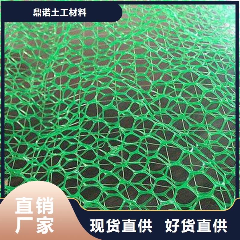 大量现货供应[鼎诺]EM5三维护坡植草网垫-2层3层三维植被网