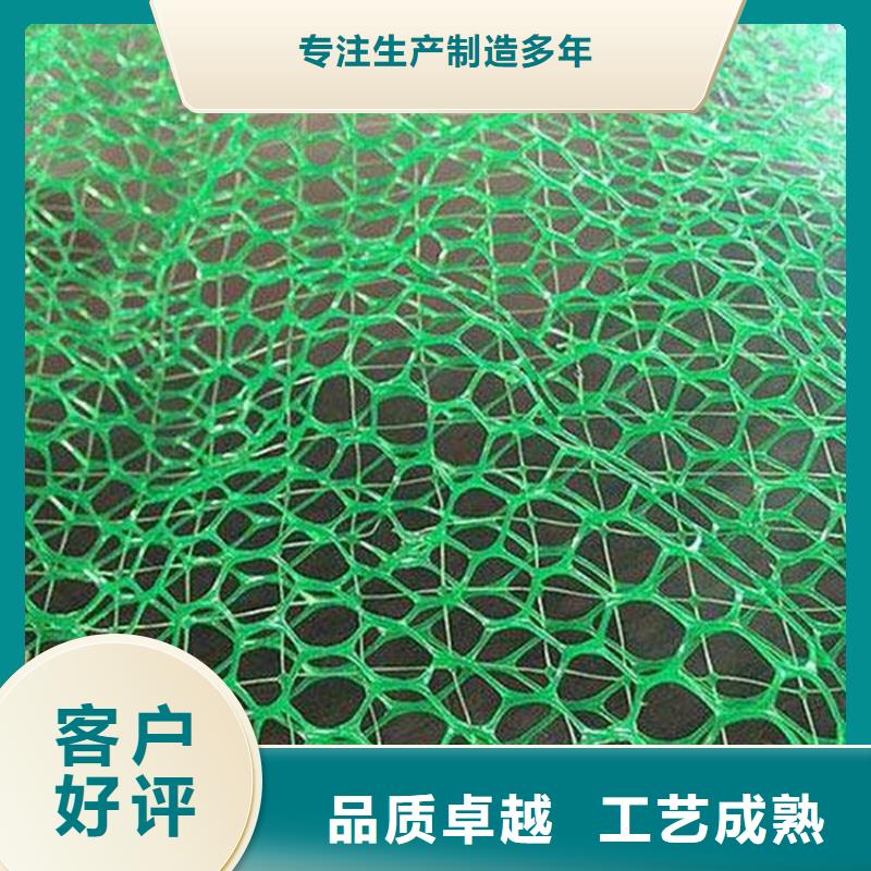 生产型{鼎诺}三维固土网垫三维护坡植草网垫
