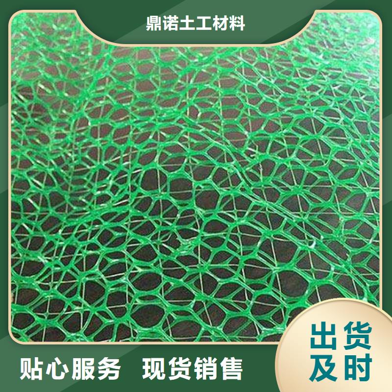 自主研发<鼎诺>三维植被网-EM4三维护坡植草网垫