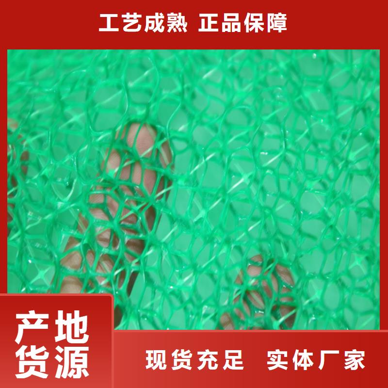 优选【鼎诺】三维土工网垫-三维植被网