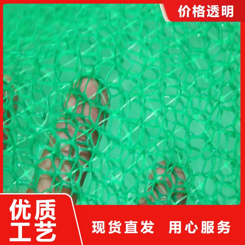专心专注专业【鼎诺】三维土工网垫-三维土工网垫