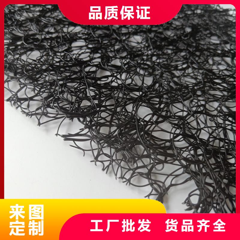 通风降噪丝网HDPE土工膜自主研发