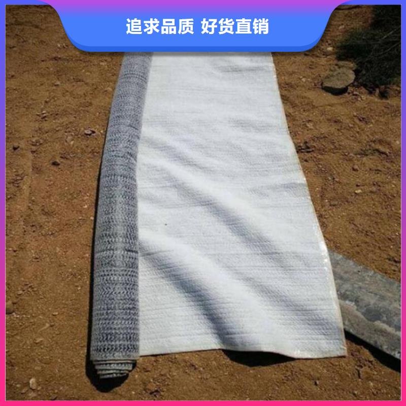 膨润土防水毯土工布品类齐全