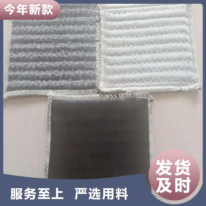 膨润土防水毯土工布品类齐全