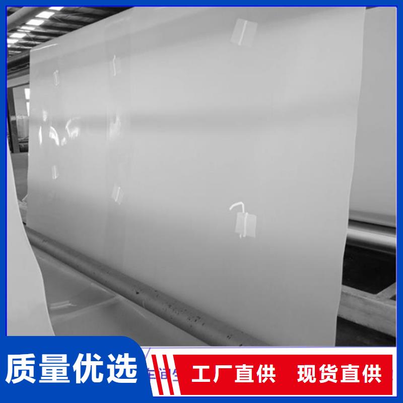 防水板生态带符合行业标准