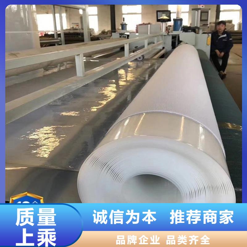 防水板生态带符合行业标准